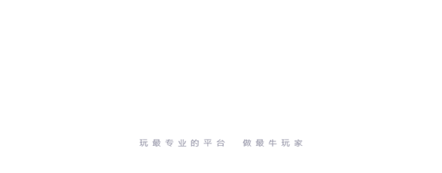 从经典到卓越 品质始终如一 玩最专业的平台 做最牛玩家